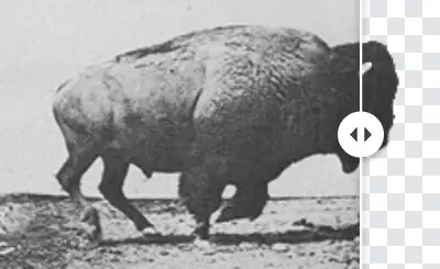 Running buffalo GIF beside the same GIF with a transparent background